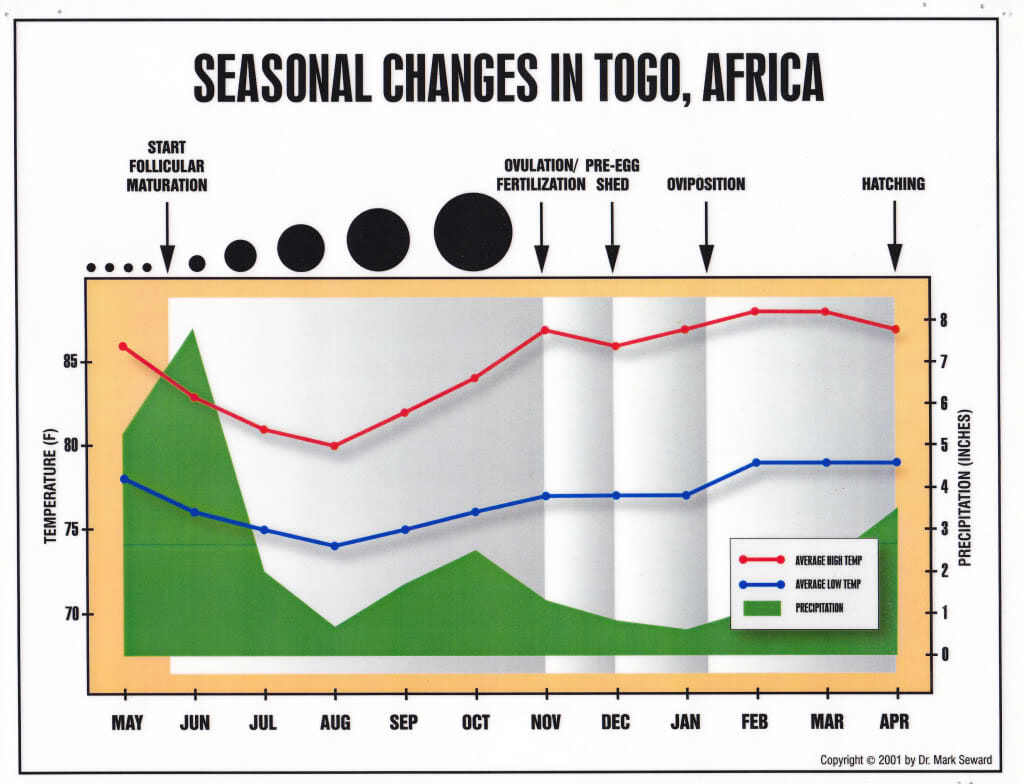 Reference chart of ball python temperature and breeding ranges