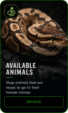 Available Animals