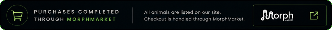 Purchases completed through MorphMarket. All animals are listed on our site. Checkout is handled through MorphMarket.