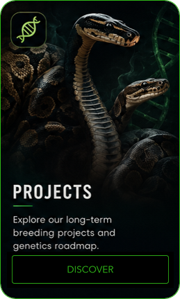 Projects